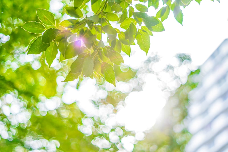 AdobeStock_133753089_1920